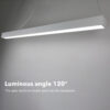 Lightinn Linear Dining Room Light LYT Beam Angle